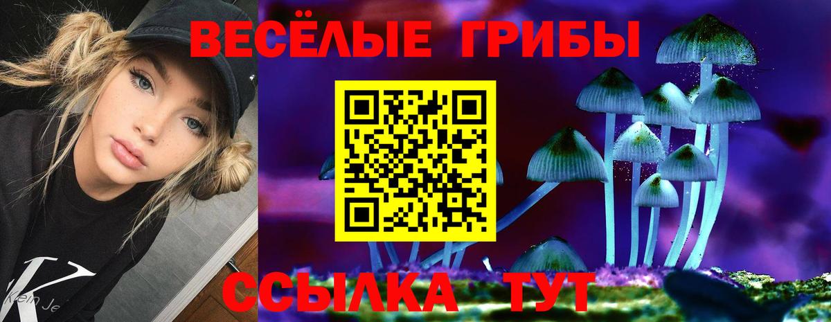 Лсд 25 Ефремов