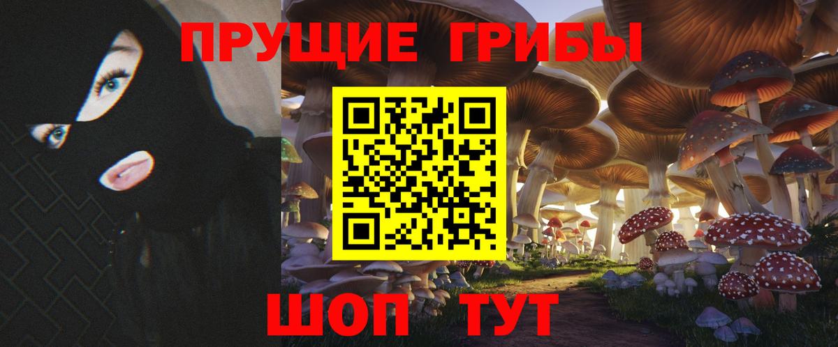 Галлюциногенные грибы MAGIC MUSHROOMS Ефремов