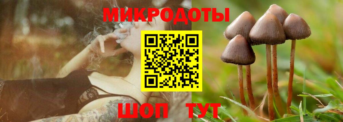 Псилоцибиновые грибы мухоморы  Вход с VPN  Ефремов 